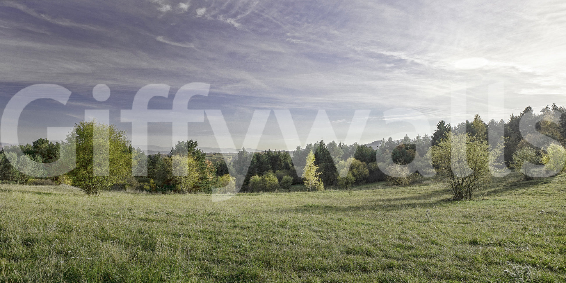 Gentle rolling hills or flat fields.

