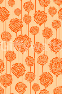 Charming and delightful aesthetic.

