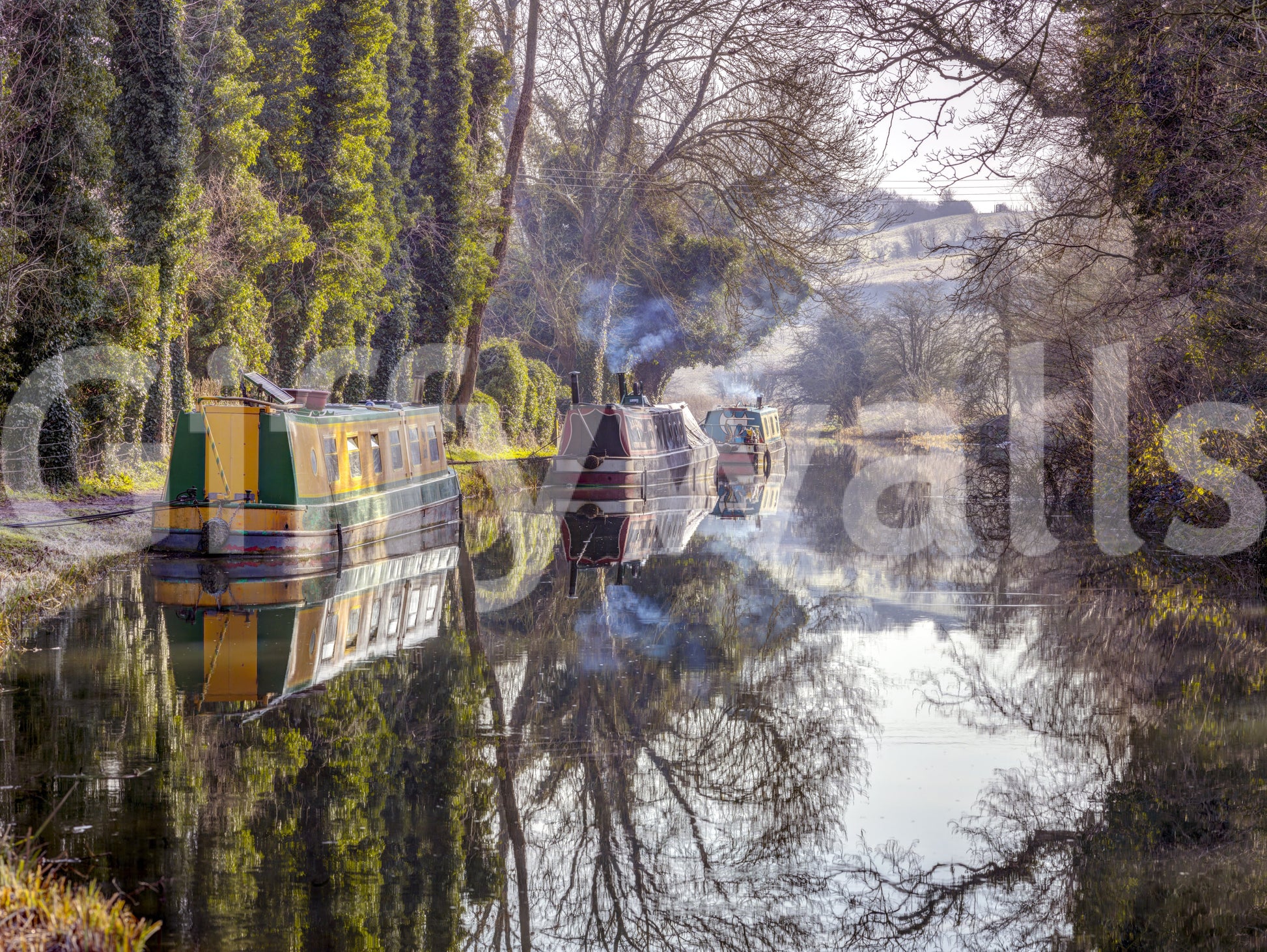 Wall decor evoking serenity and nature's calm.

