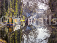 Wall decor evoking serenity and nature's calm.

