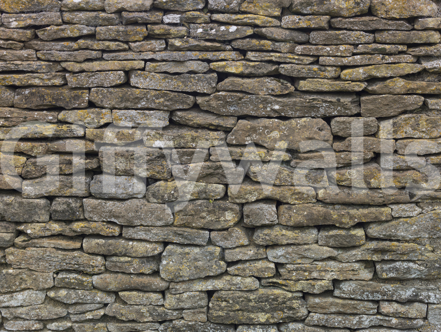 Subtle shadows and highlights.