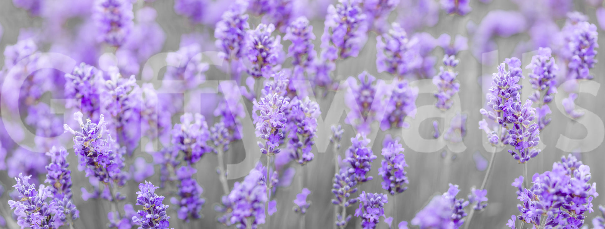 simple and natural wall art

