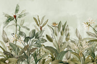 Focus on natural forms and gentle light.

