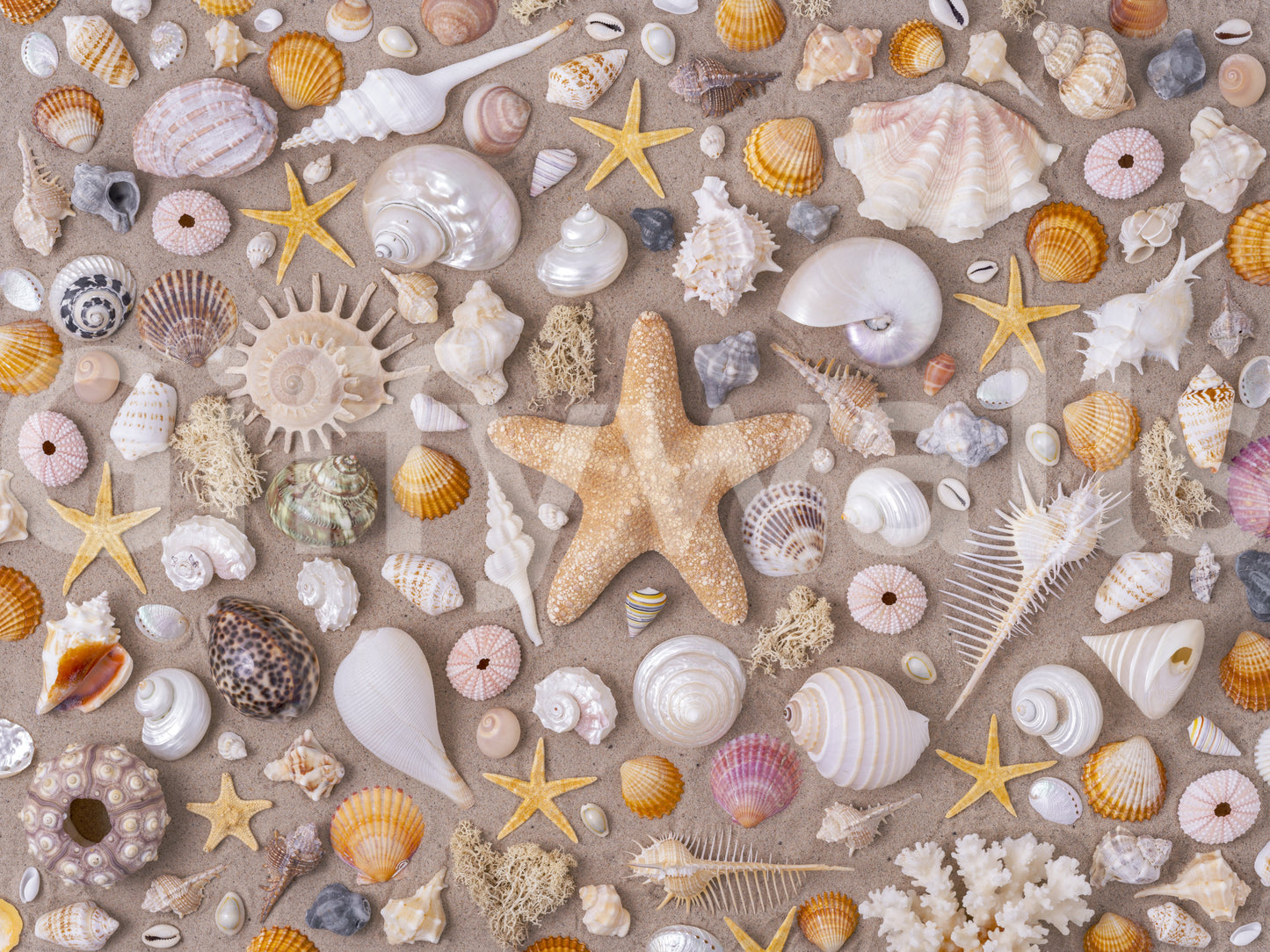 Evokes a feeling of wonder and serene delight.