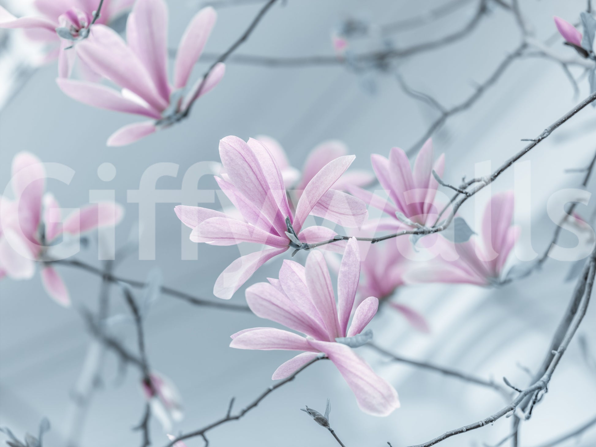 The image captures the delicate nature of flowers.

