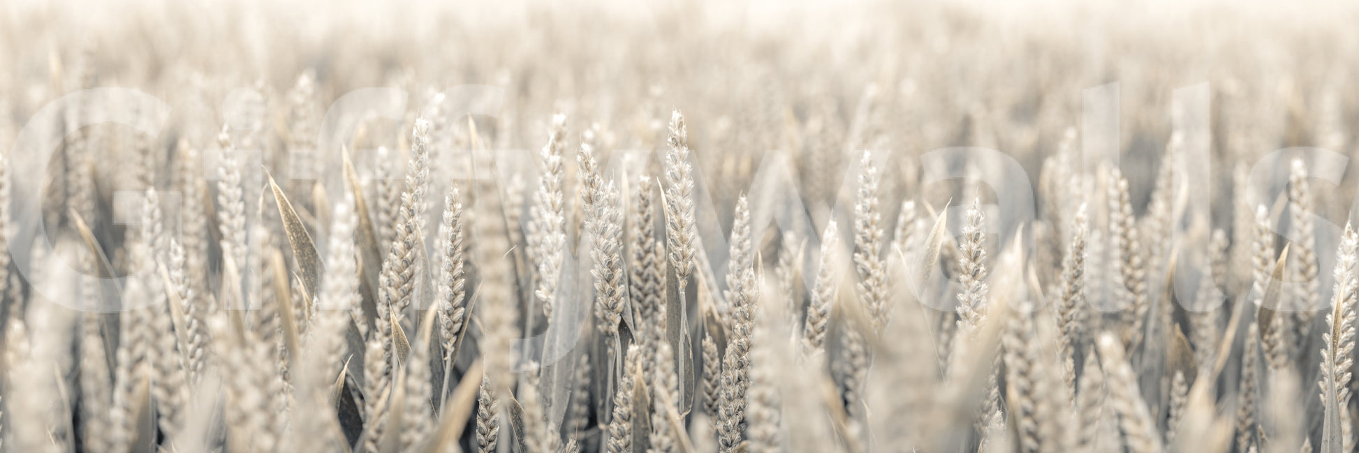 The design is non-realistic and interpretive.

