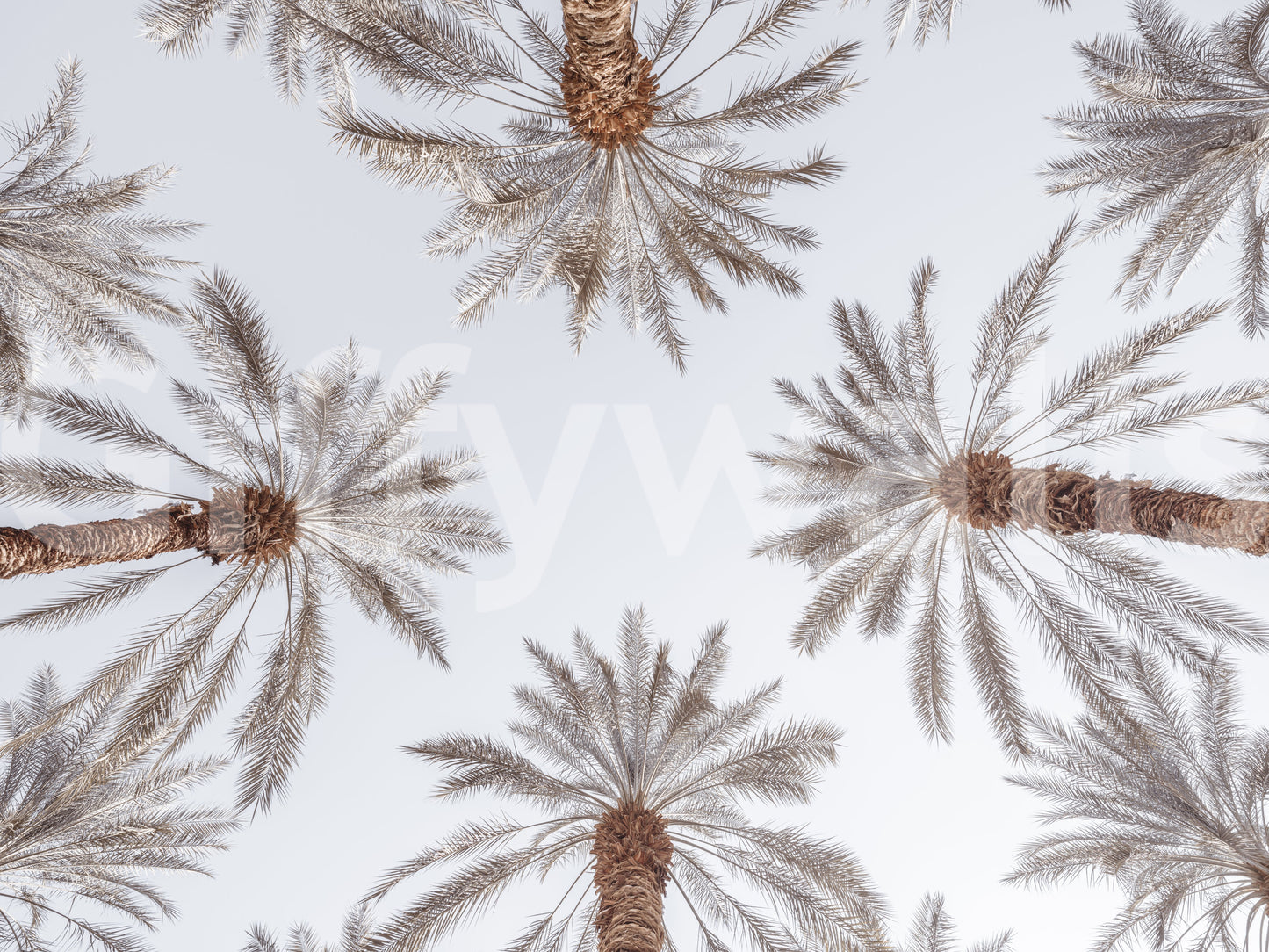 The design is non-realistic and interpretive.

