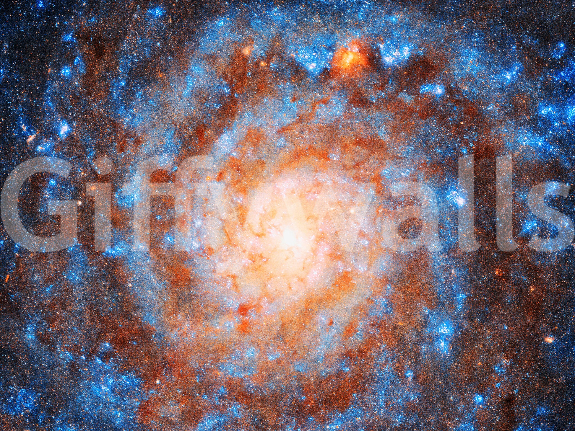 The design is non-realistic and interpretive.

