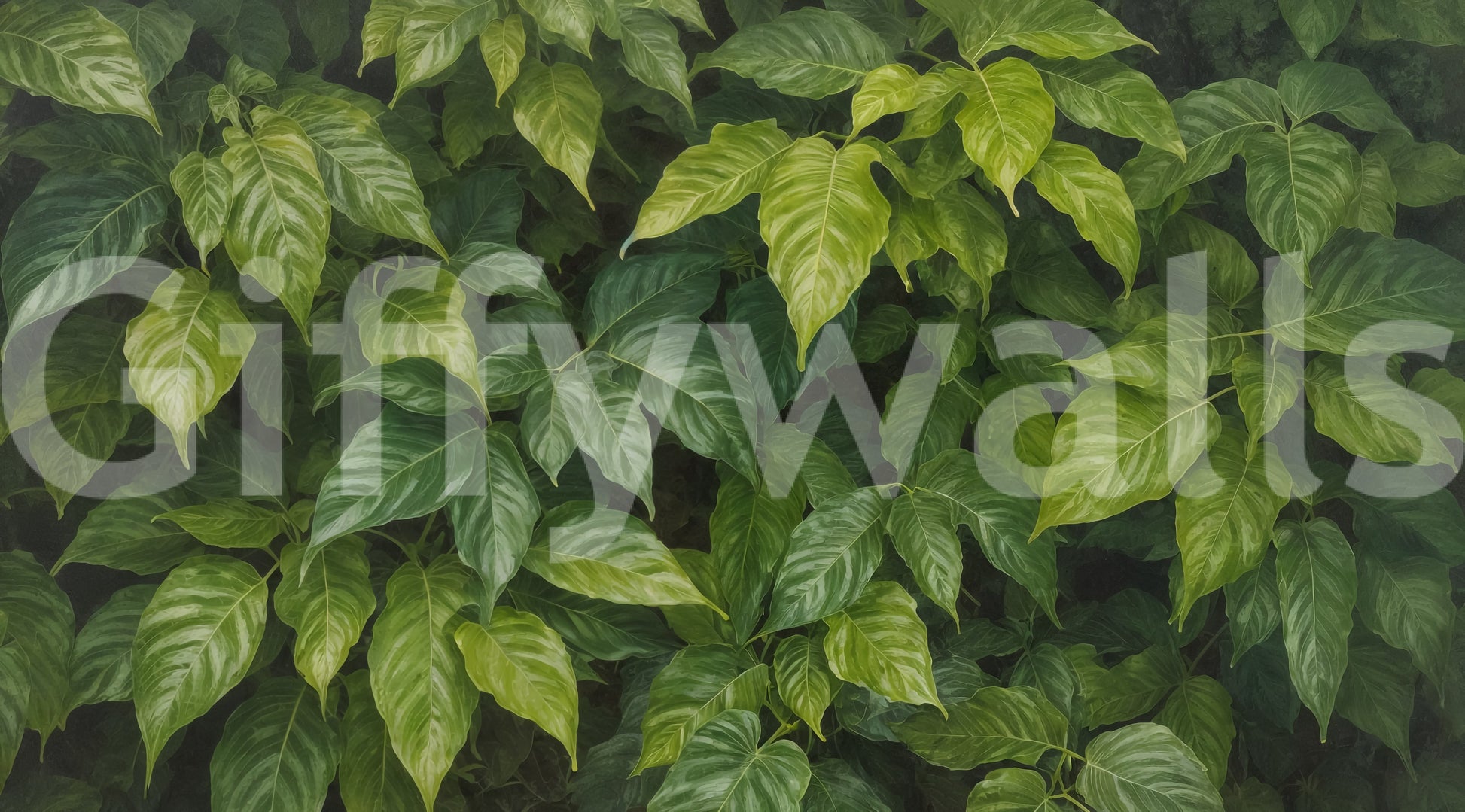 The image has a soothing and very natural mood.
