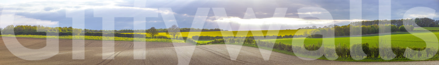 The wallpaper features a subtle, calming pattern.

