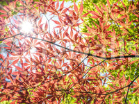 The wallpaper features a subtle, calming pattern.

