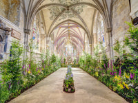 The wallpaper features a subtle, calming pattern.

