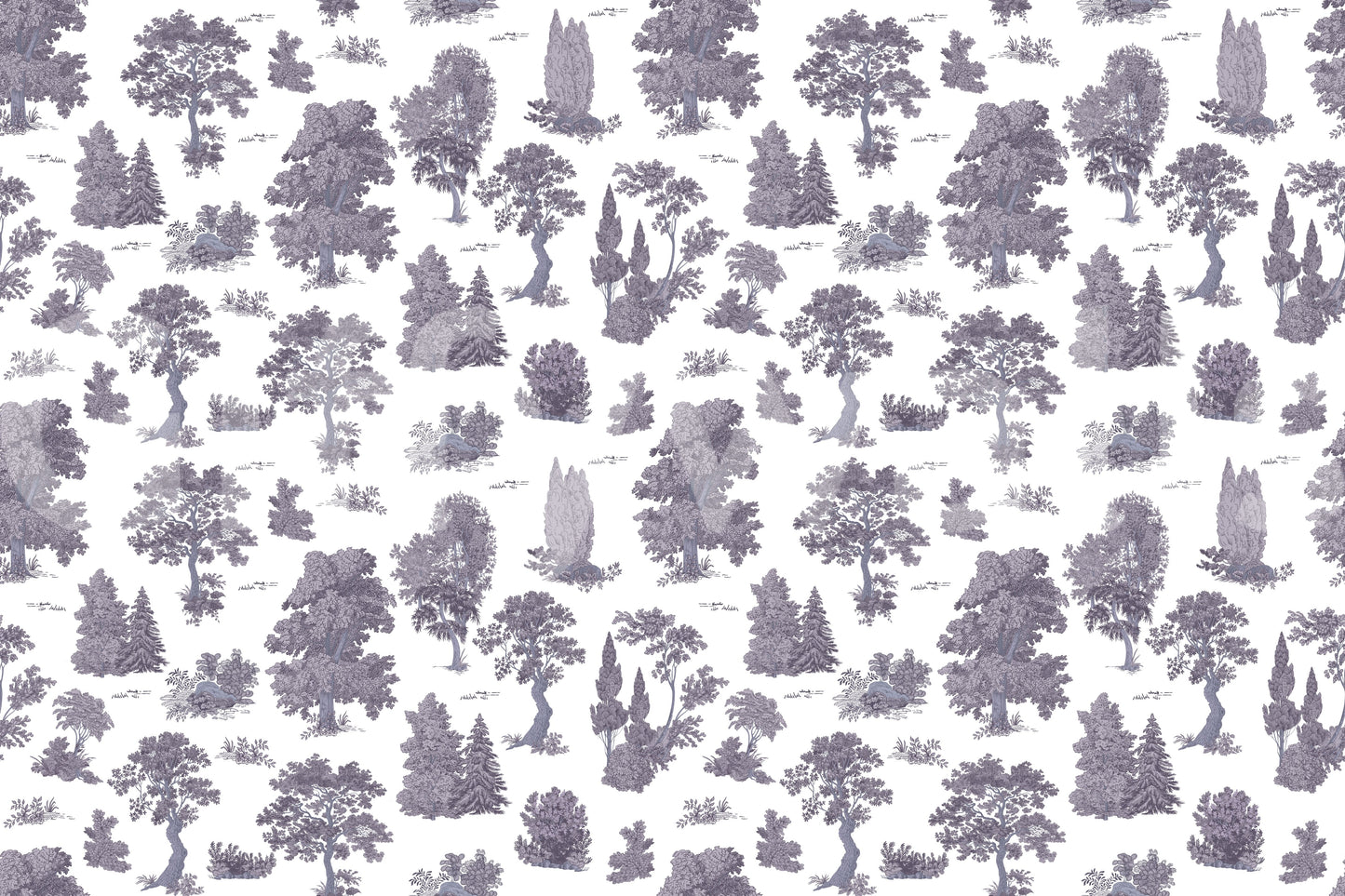 The style is a soft-focus illustration or a painterly design.

