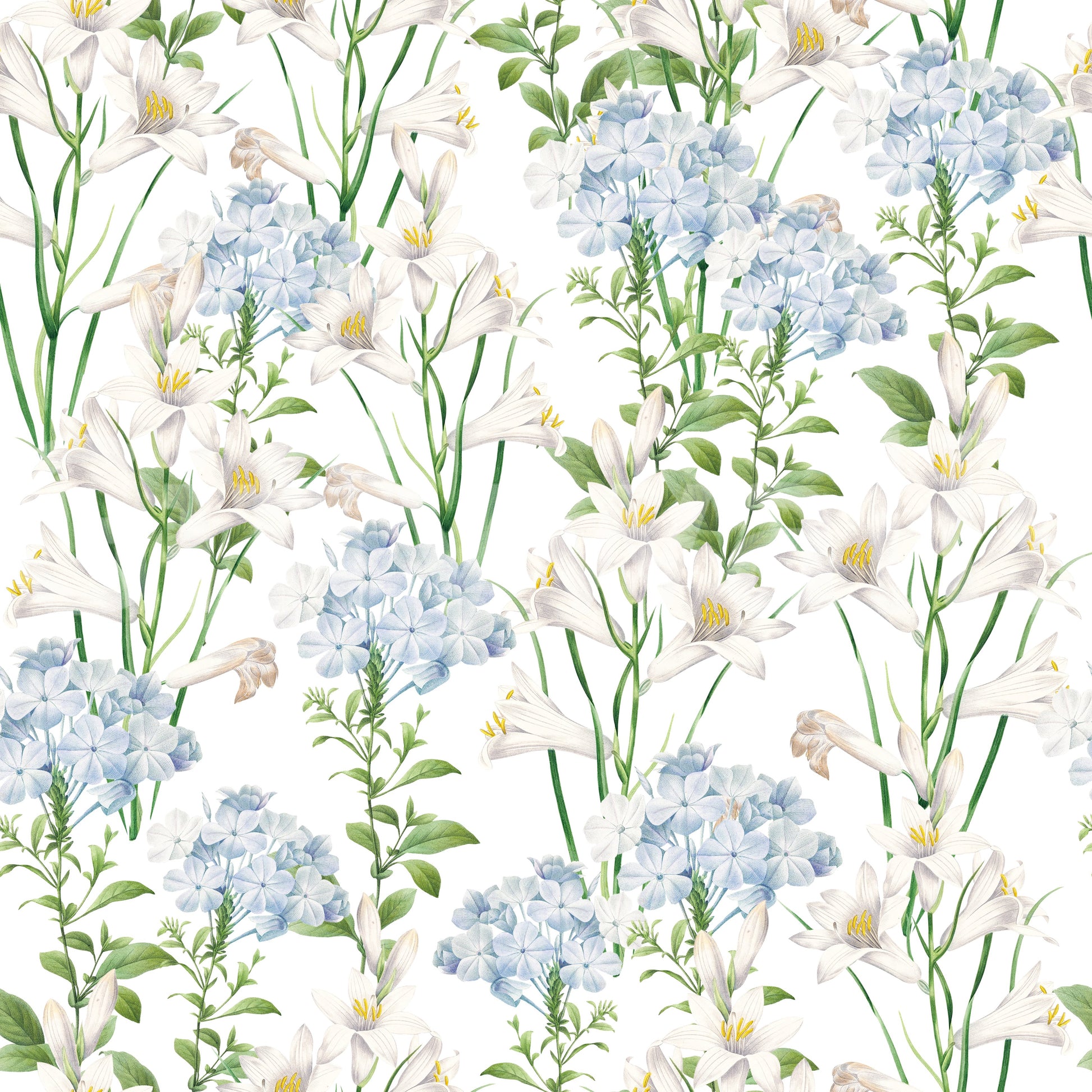 Wallpaper with a gentle and inviting feel