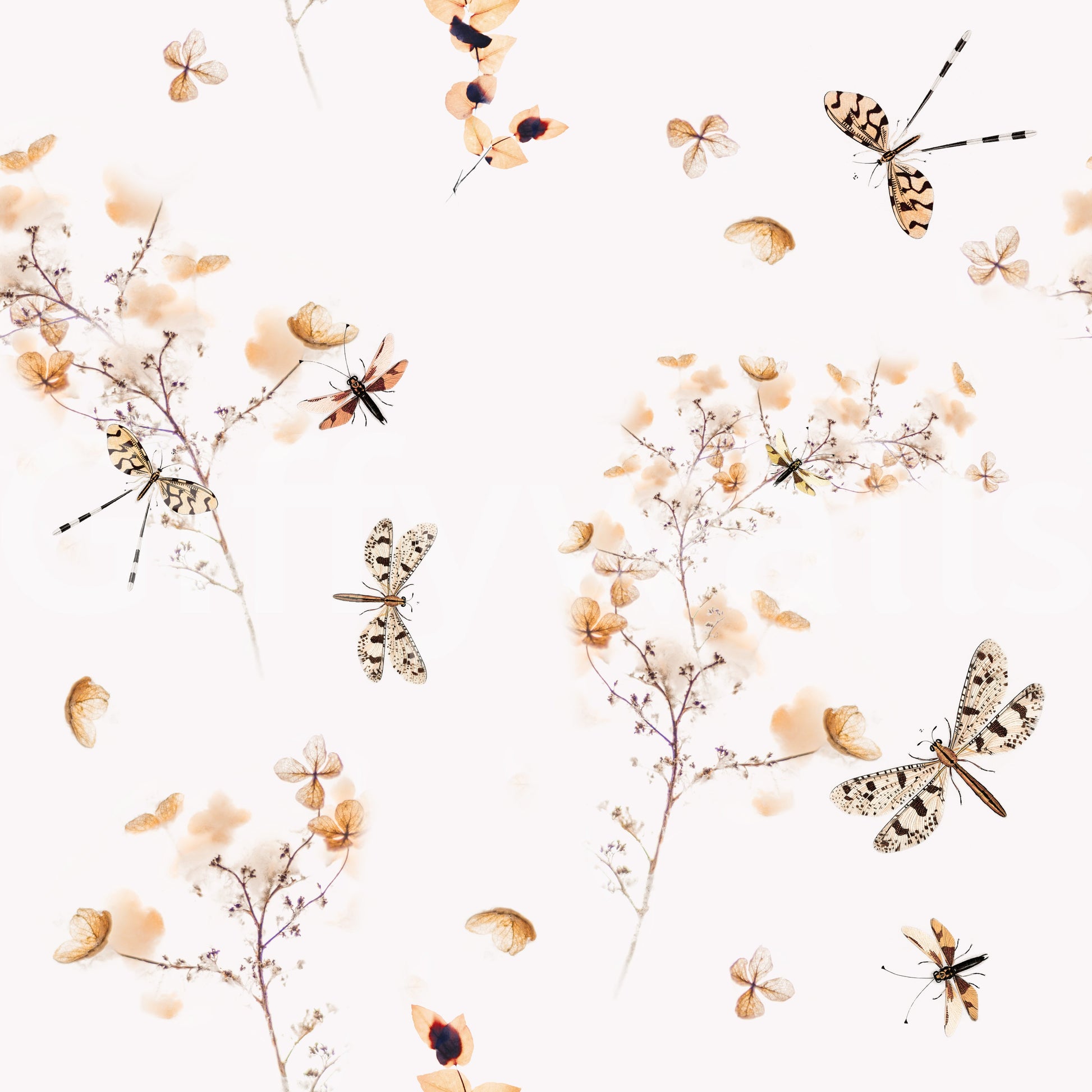 Wallpaper with a gentle and beautiful feel