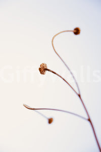 A detail of the organic shapes in the modern design.

