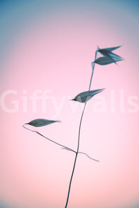 A detail of the organic shapes in the modern design.

