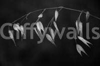 A detail of the organic shapes in the modern design.

