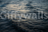 A detail of the dark tones in the water and shore.

