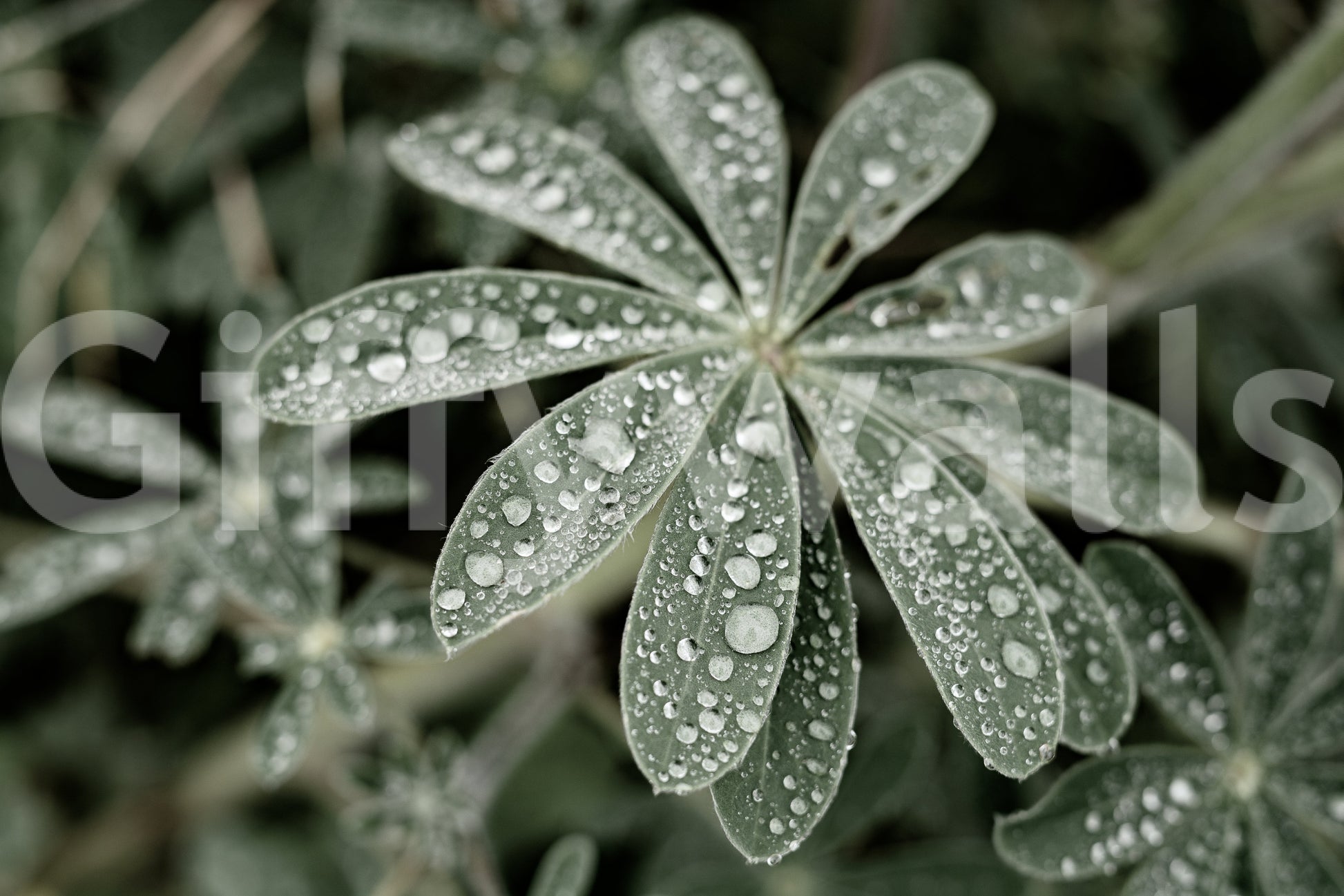 A detail of the warm tones in the flowers and greenery.