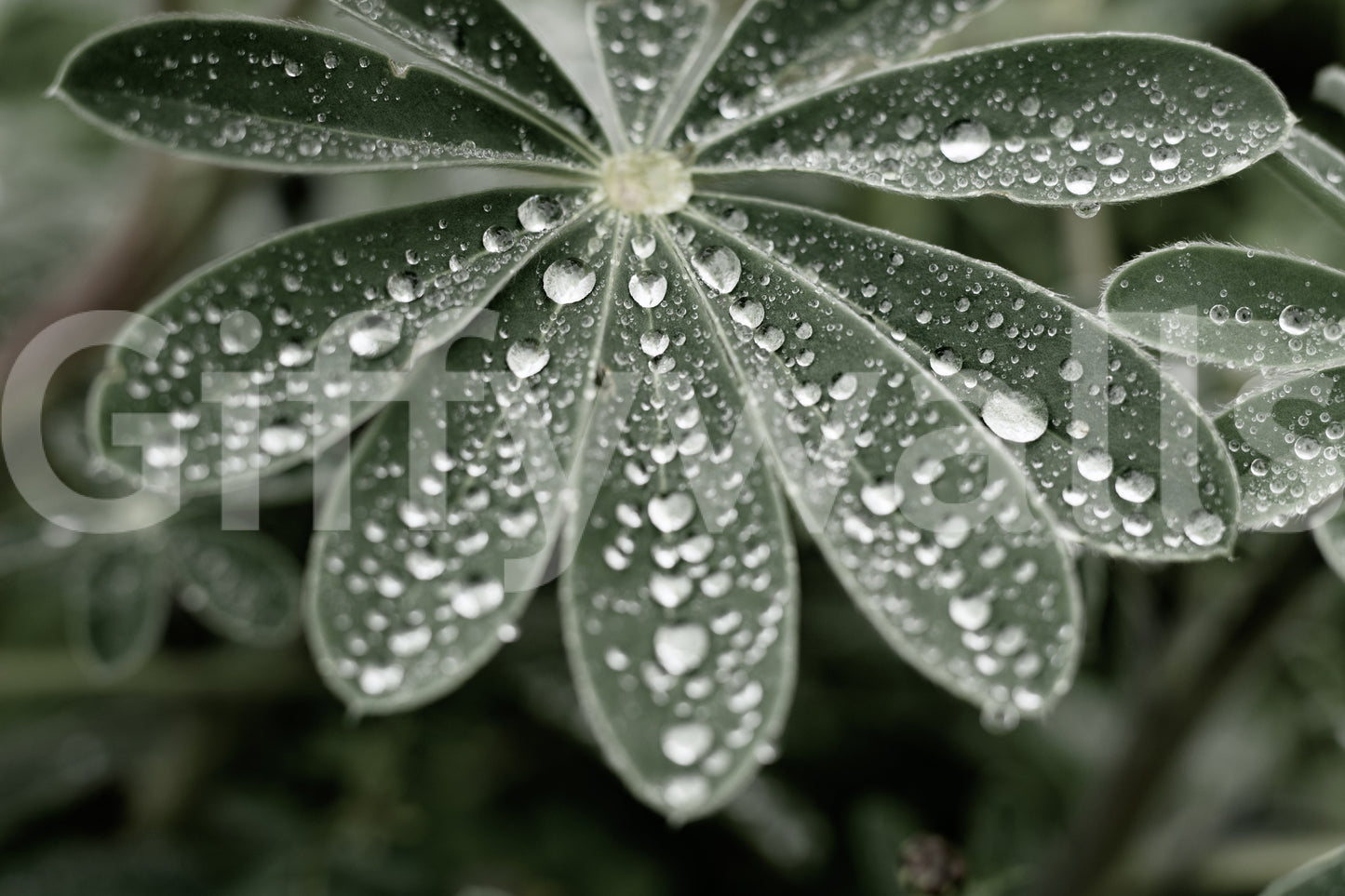 A detail of the warm tones in the flowers and greenery.