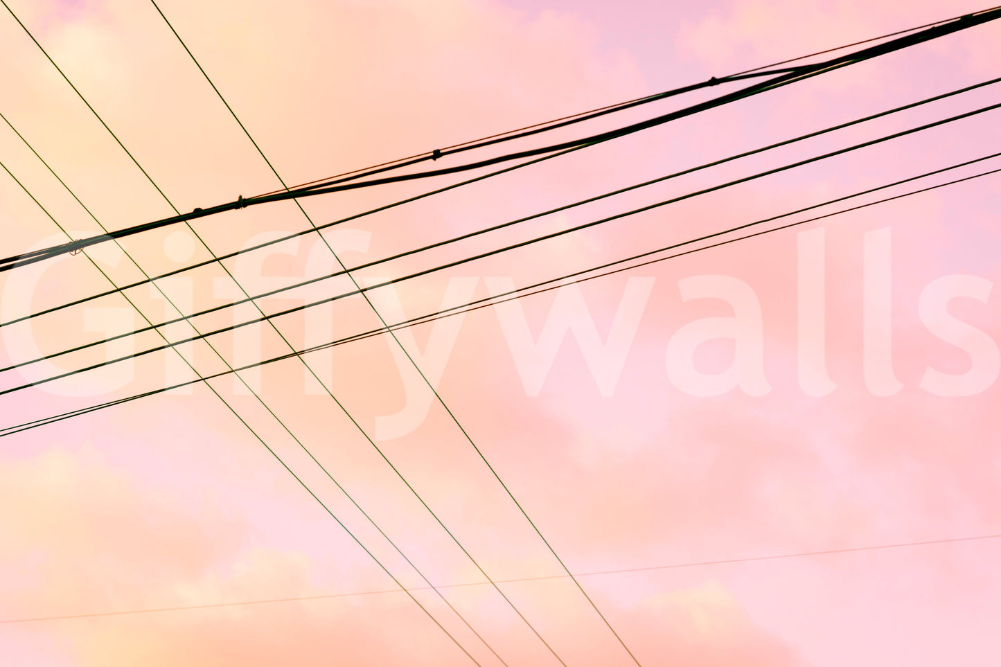 A high-quality minimalist wall mural for walls.

