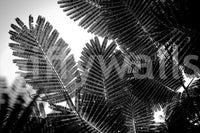 A high-quality minimalist wall mural for walls.

