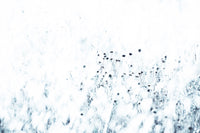 A high-quality serene plant wall mural for walls.

