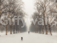 A high-quality minimalist wall mural for walls.

