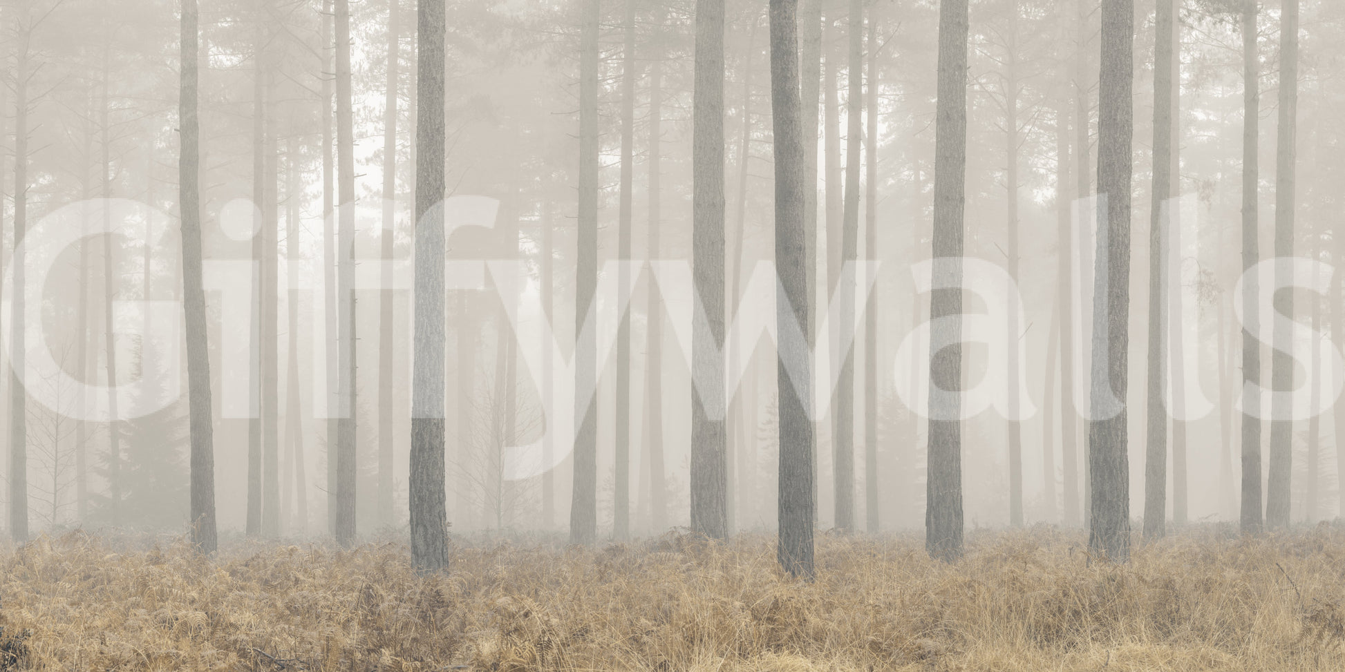 A high-quality minimalist wall mural for walls.

