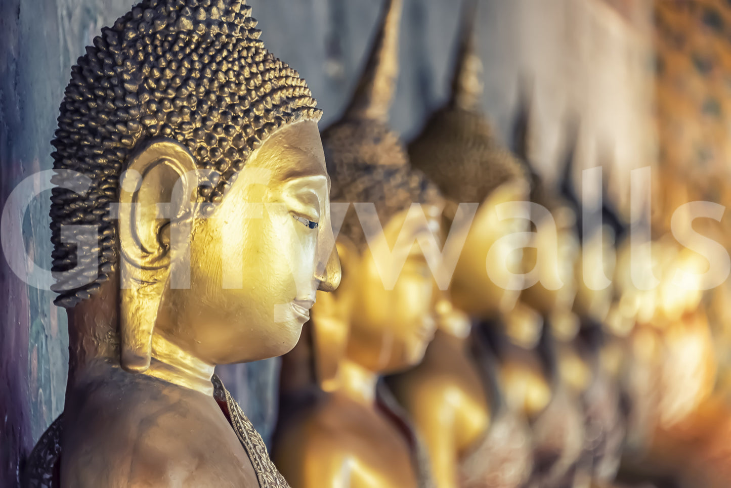 Buddha's Golden Gaze Wall Mural