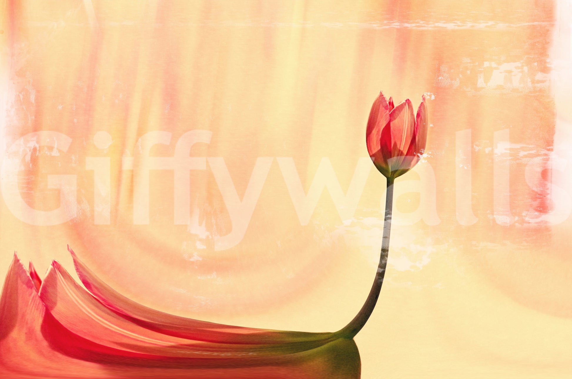 A high-quality serene flower wall mural for walls.

