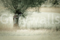 A high-quality minimalist wall mural for walls.