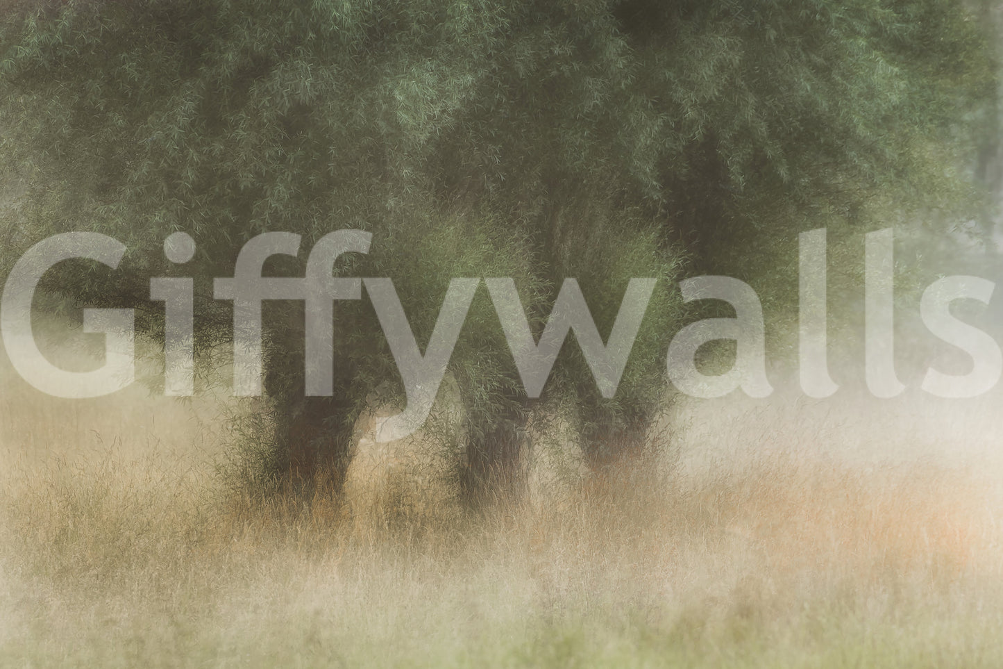 A high-quality minimalist tree wall mural for walls.