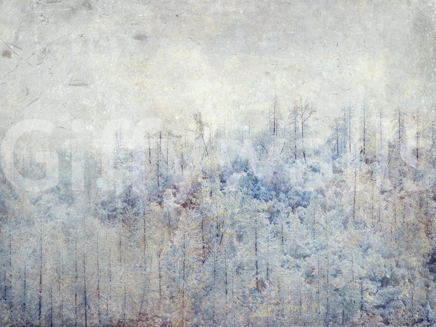 Frosted Forest Dream Wall Mural -2671433