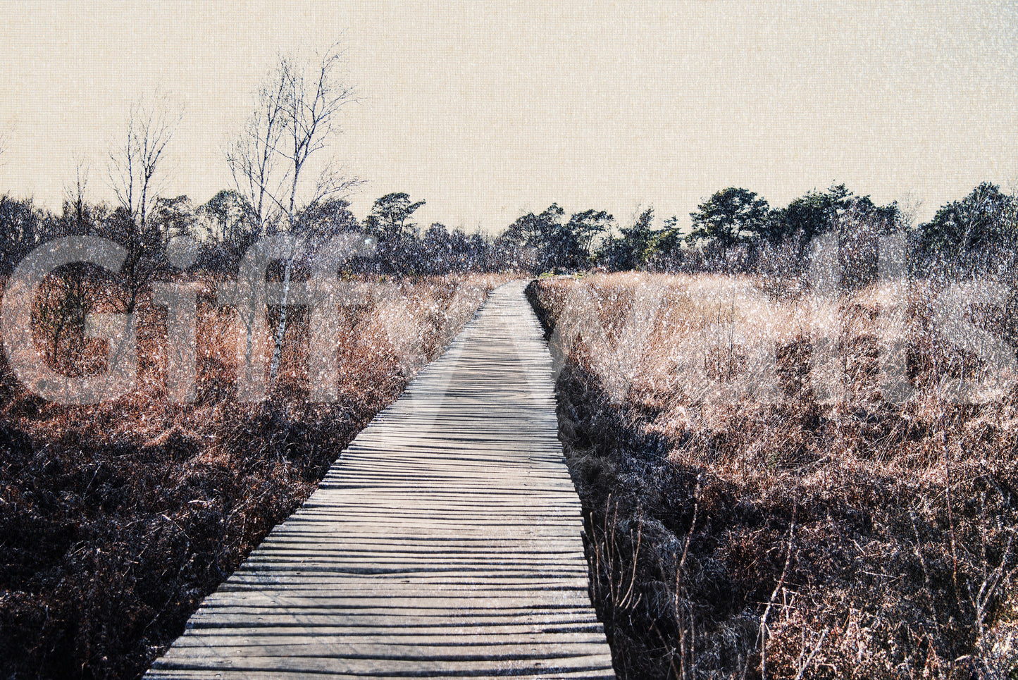 Trail's End Serenity Wall Mural