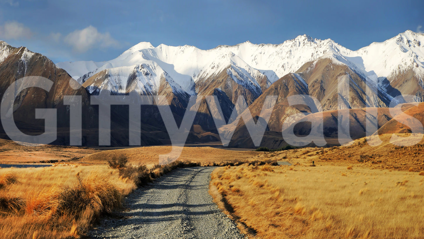 Snowy Peaks Path Wall Mural -2563227