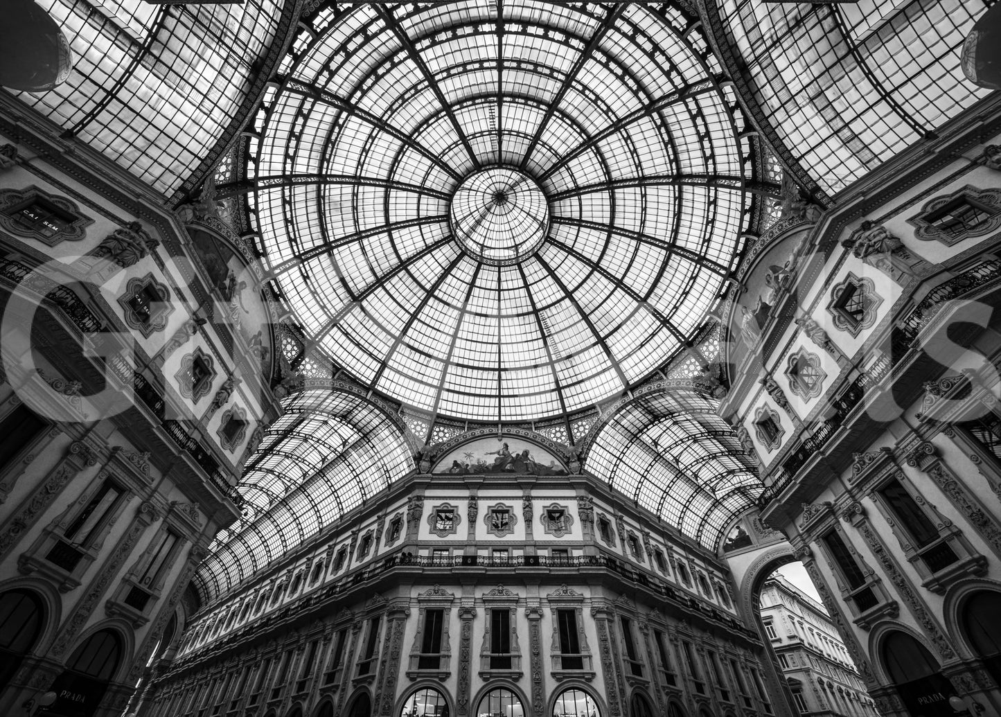 Milan's Vaulted Vision Wall Mural