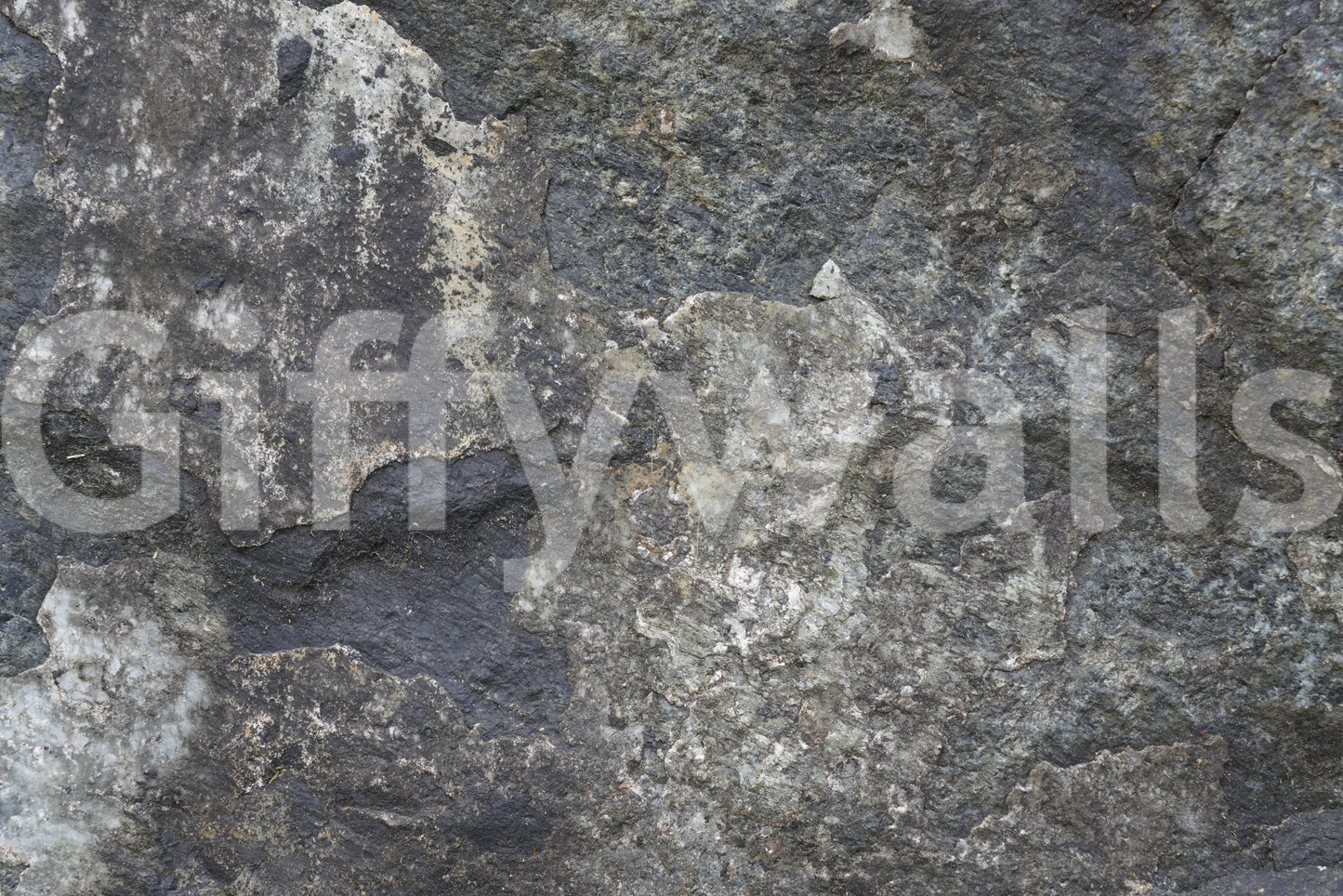 Nature's Rock Wall Mural