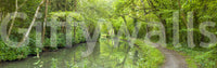 Woodland waterway Verdant Stream Escape wall mural, bright, soothing, and pleasant.