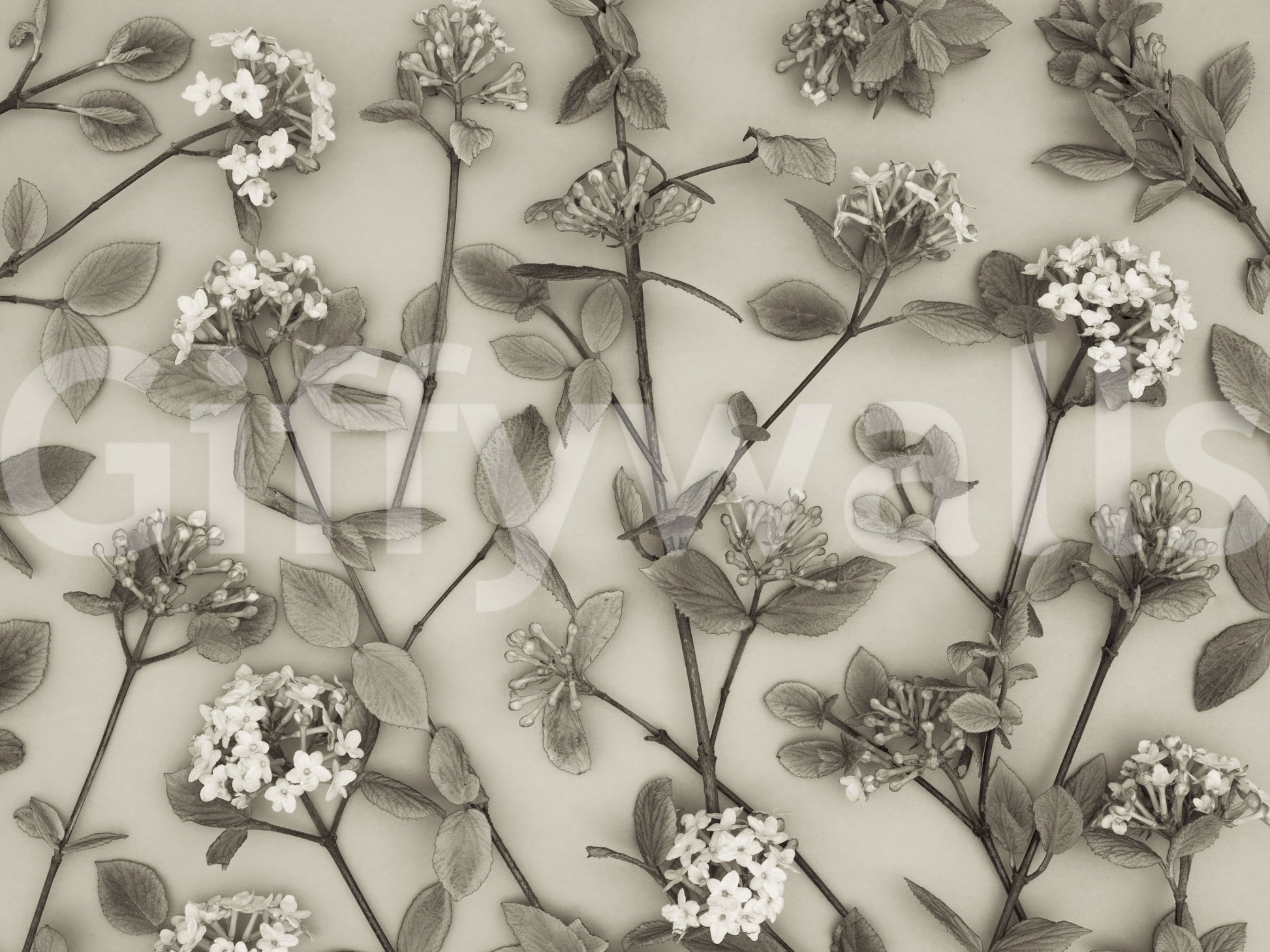 The wallpaper displays hand-drawn floral stems that create a peaceful and graceful spring atmosphere.