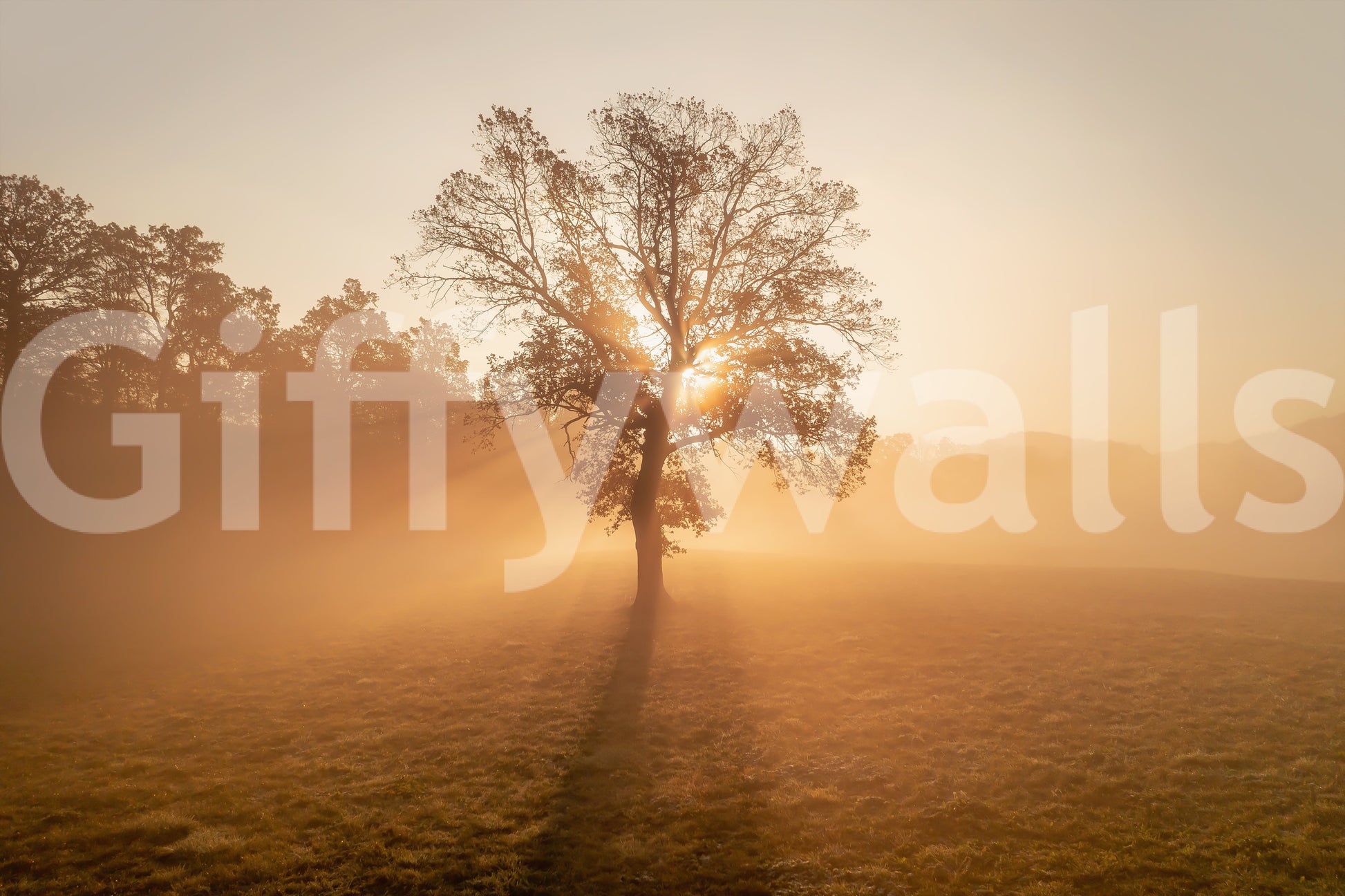Magical Golden Mist art, misty sun rays tree centerpiece.