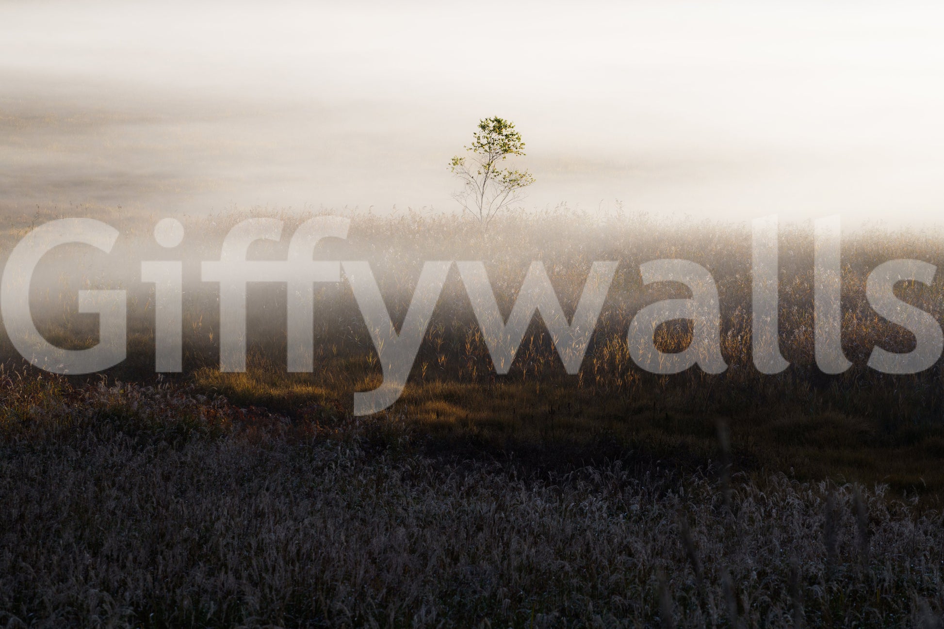 Artistic delicate haze effect on Misty Dawn Meadow wallpaper.