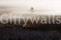 Artistic delicate haze effect on Misty Dawn Meadow wallpaper.