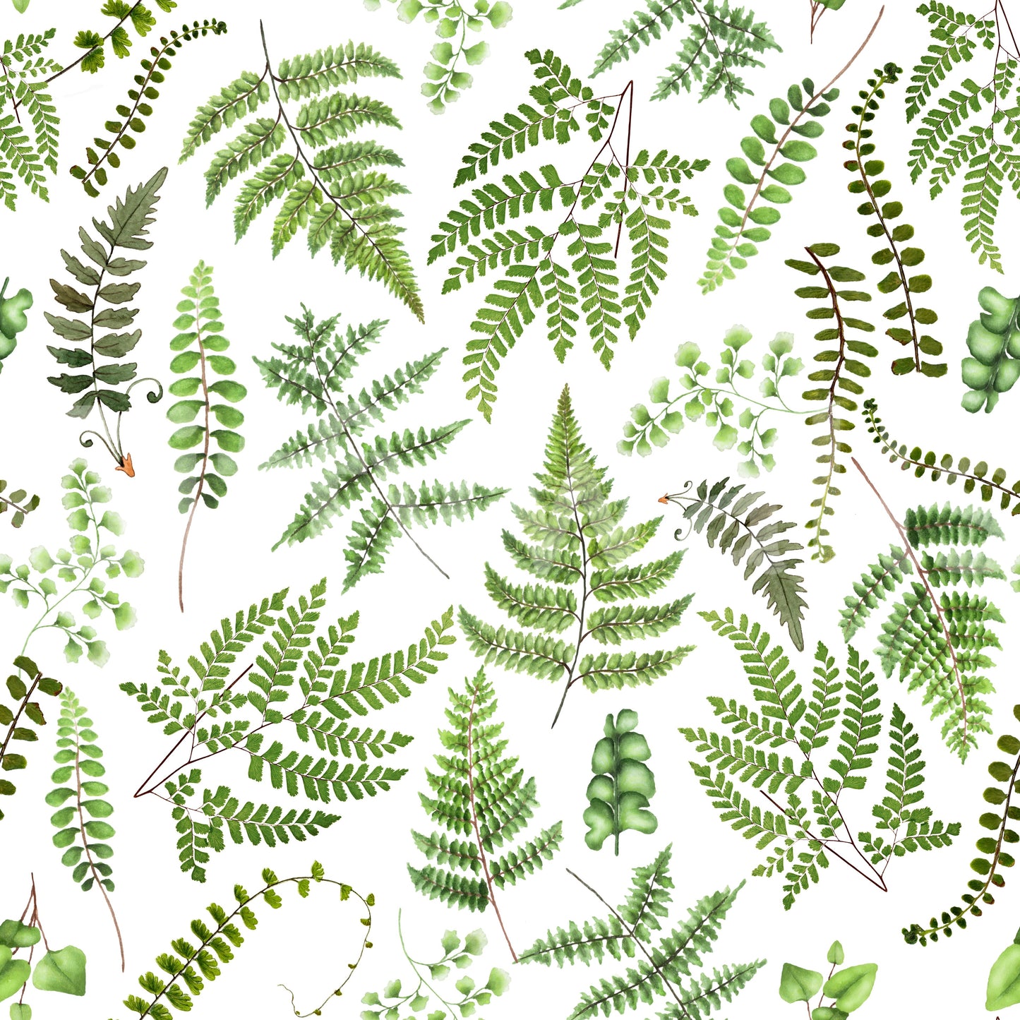 Watercolor Fern Canopy Wallpaper⁠