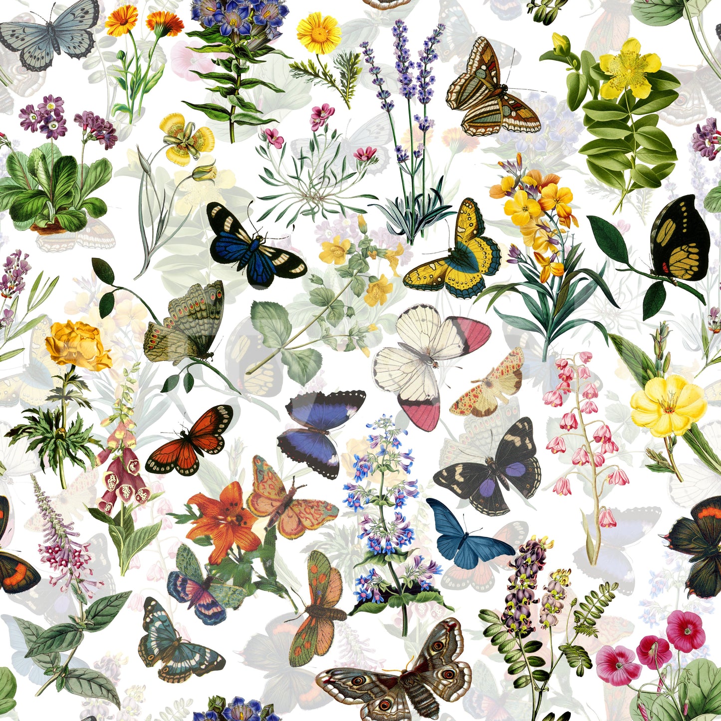 Fluttering Blooms Wallpaper⁠