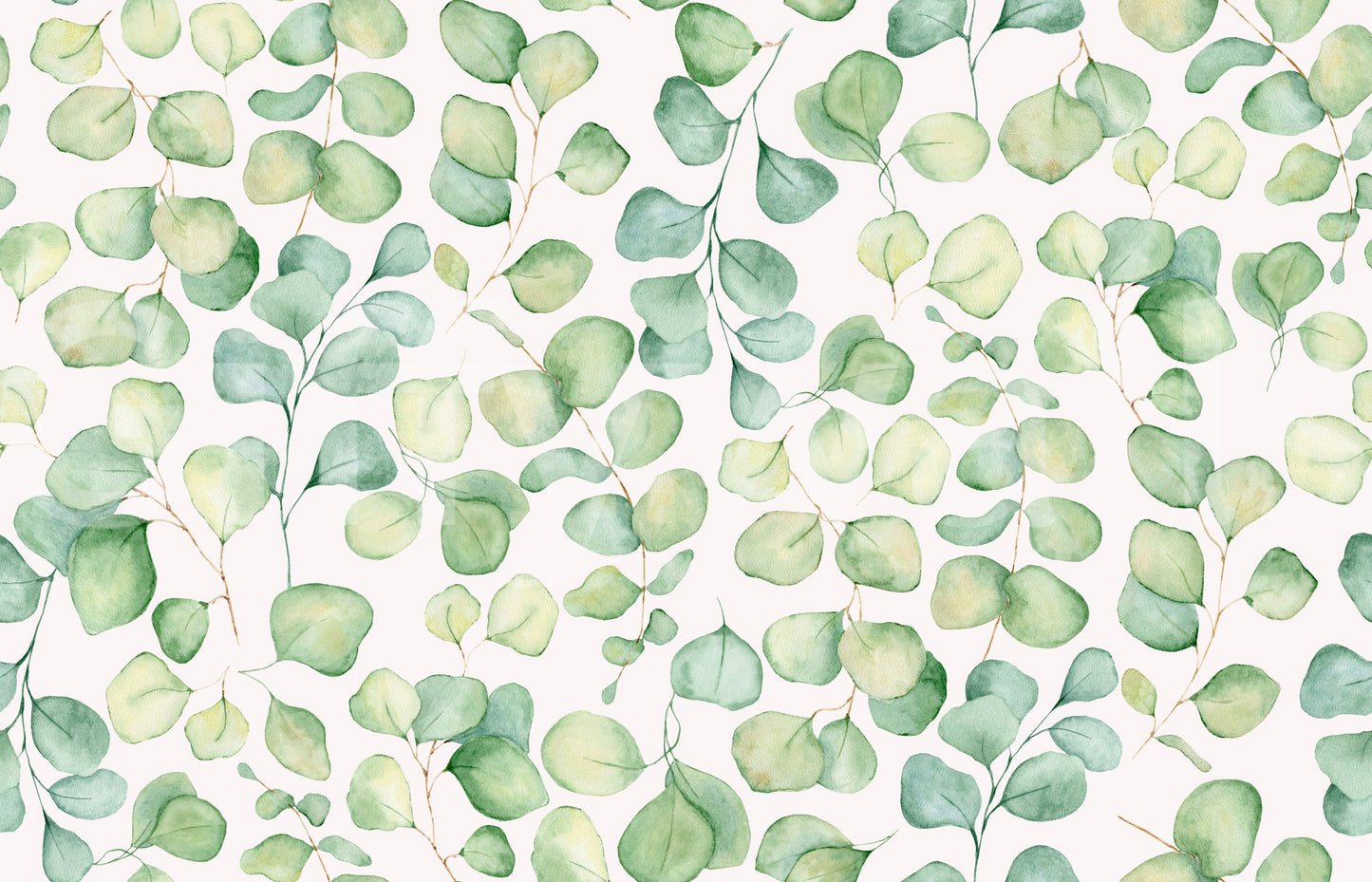 Eucalyptus Dream Garden Wallpaper⁠