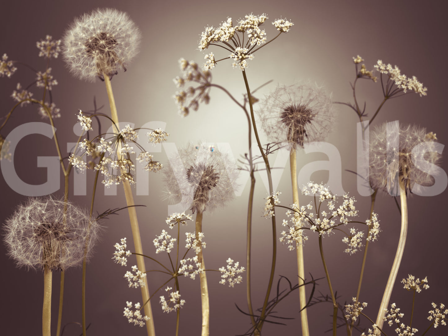 Wildflower Whispers  Wall Mural