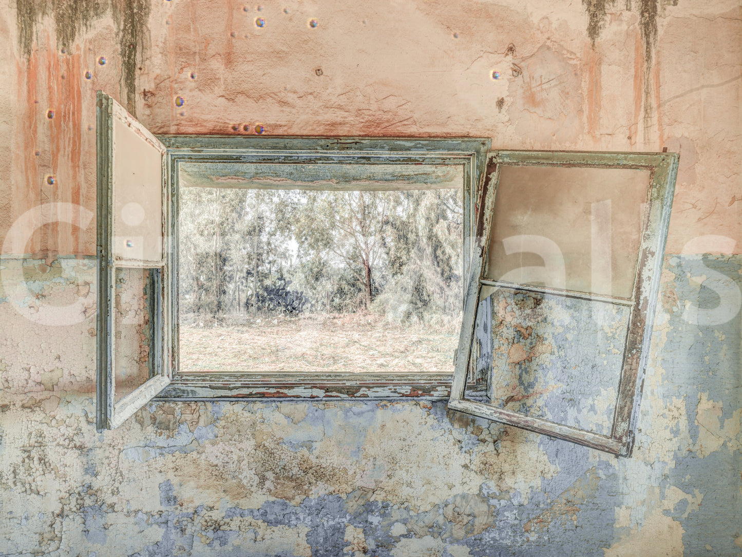 Rustic Window Wall Mural