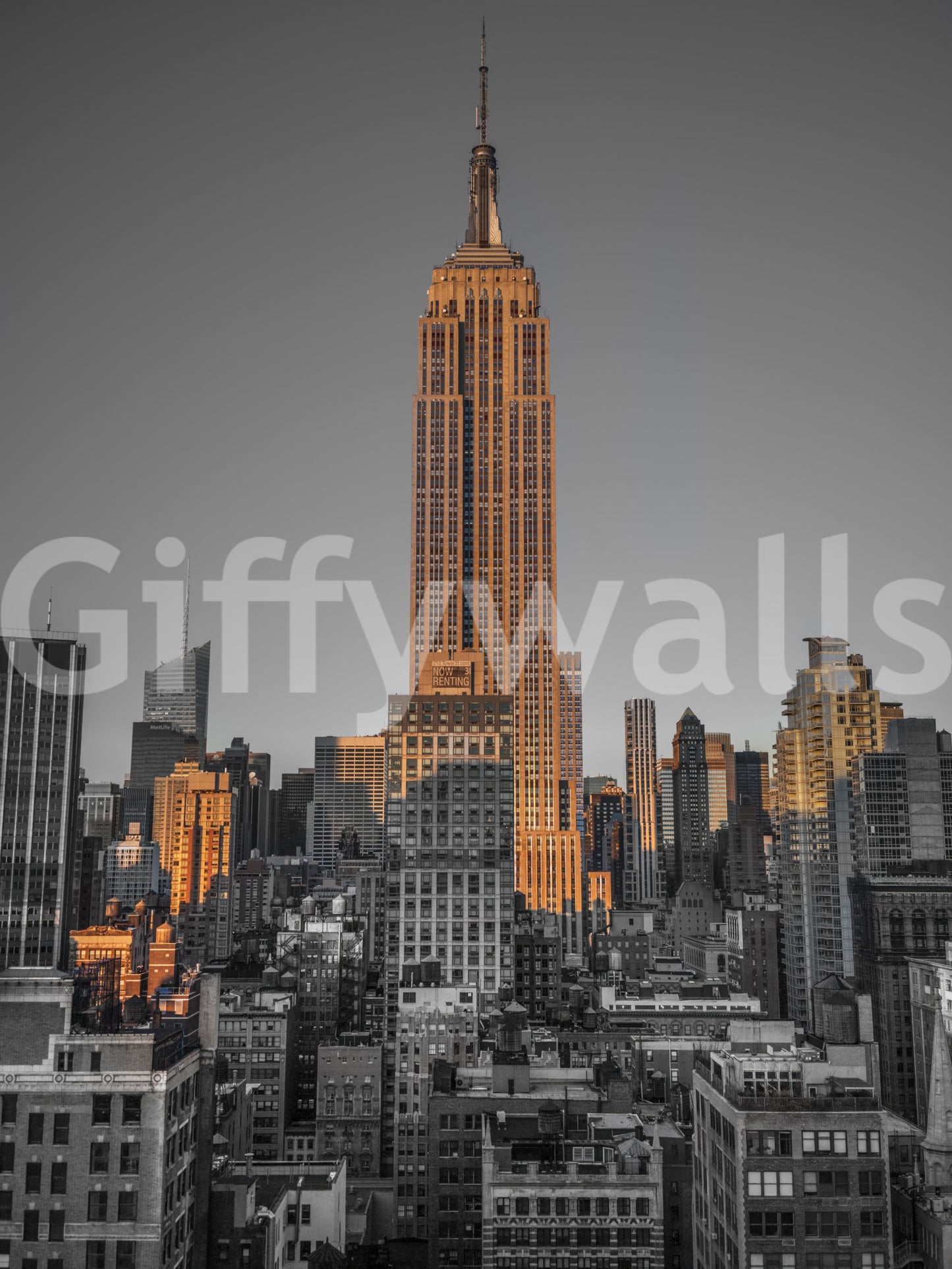 Gotham Gold Wall Mural